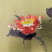 Hidetaka Ohno Gallery